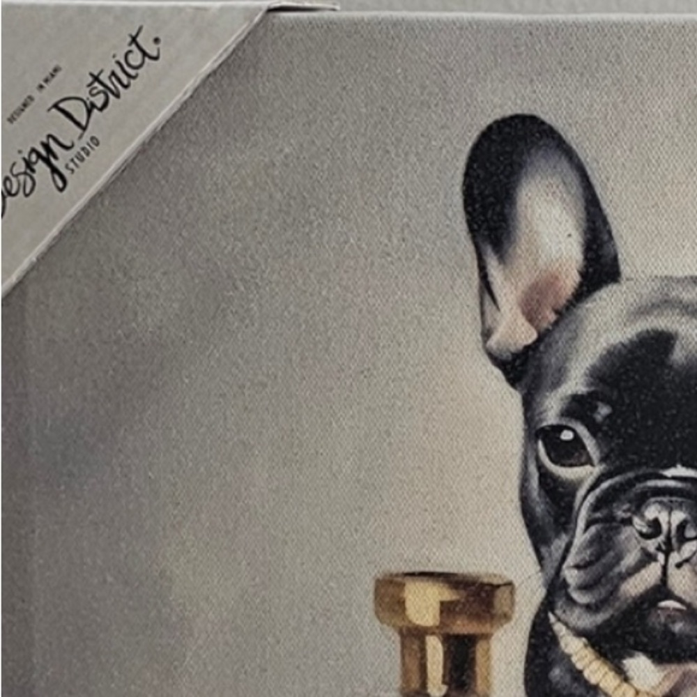 French Bulldog luxury Picture - Picture 5 of 6